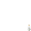 Thumbnail for version as of 19:24, 10 June 2026
